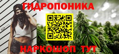 гашик Балашиха