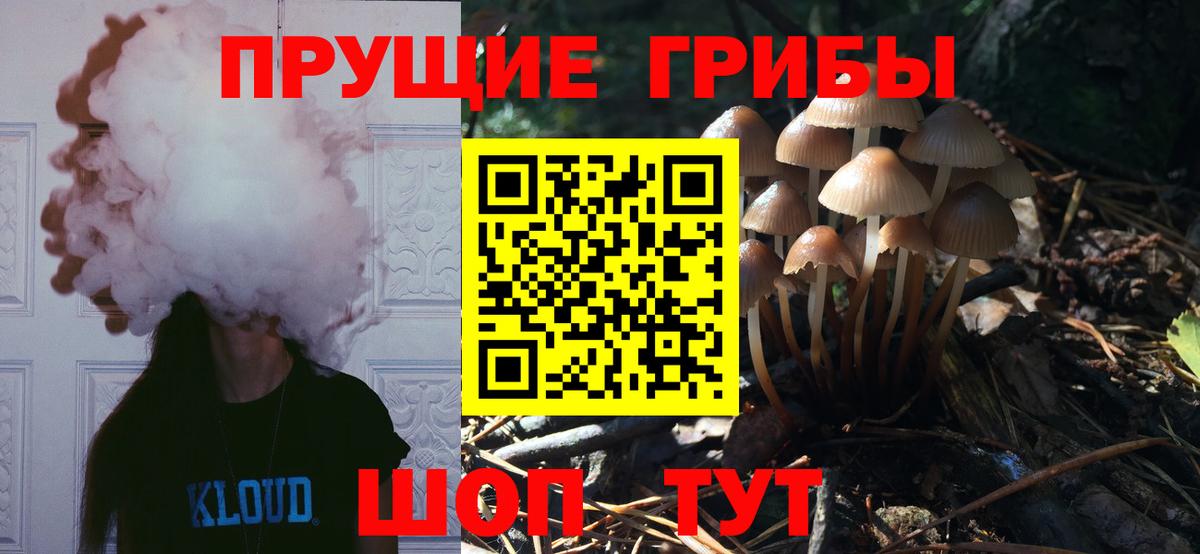 Псилоцибиновые грибы ЛСД Аргун
